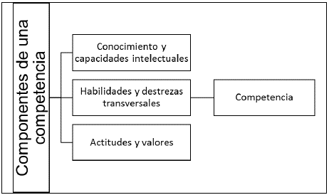 Componentes de una competencia