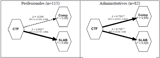Modelos estructurales ajustados por tipo de cargo.