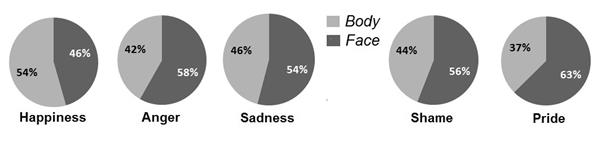 Percentage share of importance of body
and face to judgments of expressed valence.