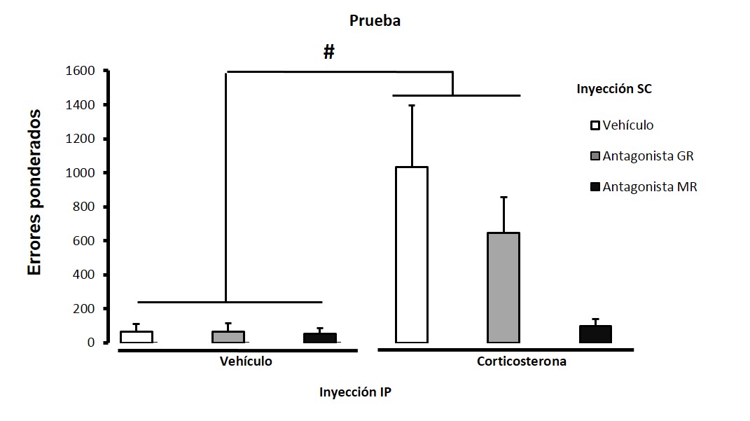Frecuencia de errores (&plusmn;SEM) durante la prueba