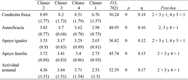 Resumen del proceso de segmentaci&oacute;n y perfilamiento de consumidores