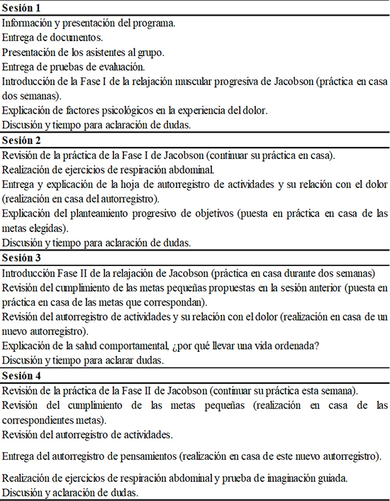 Descripci&oacute;n del contenido del programa de intervenci&oacute;n