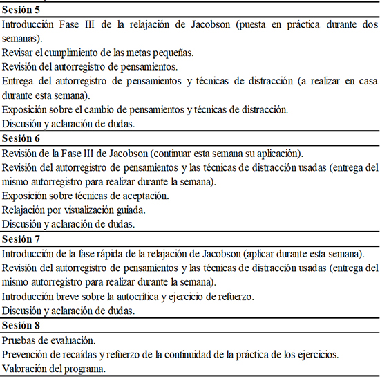 Descripción del contenido del programa de intervención