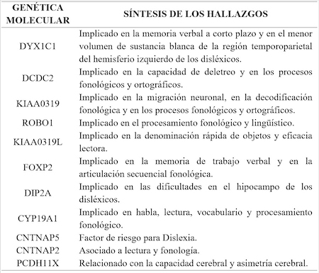 S&iacute;ntesis hallazgos de Gen&eacute;tica Molecular
en Dislexia