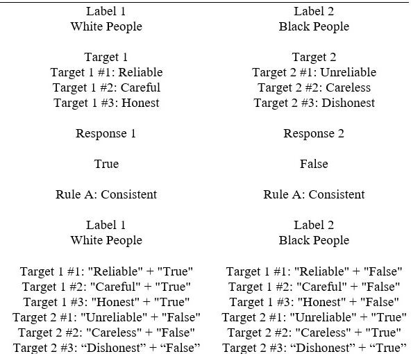 Stimulus Arrangements Displayed by the IRAP