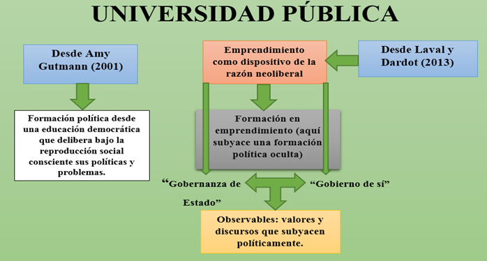 Universidad pública y formación política.