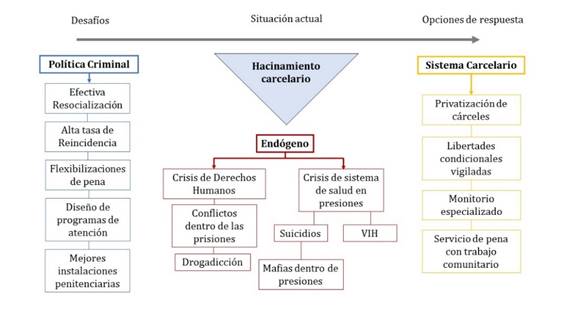 Categorías de análisis de información