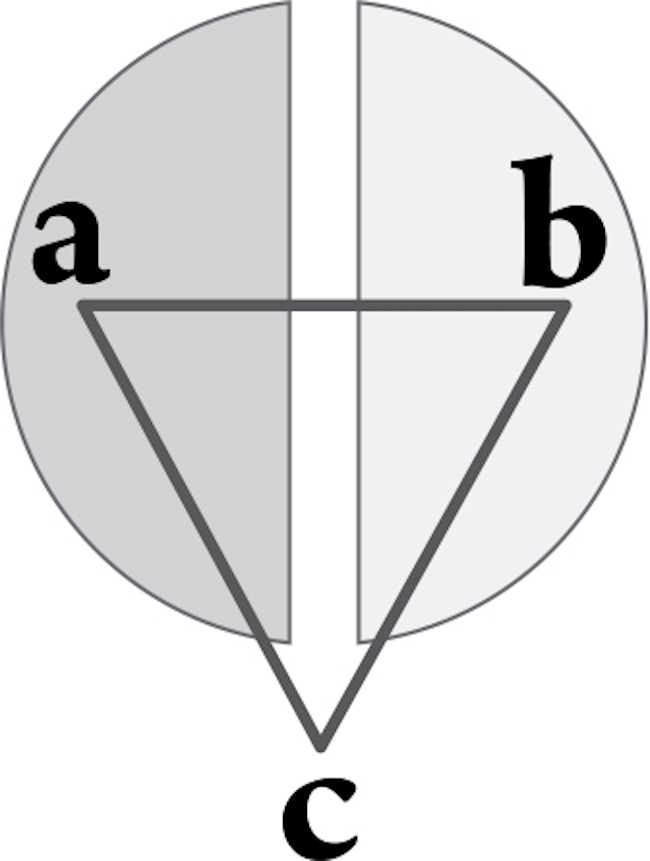 Mol&eacute;cula de sentido de los datos