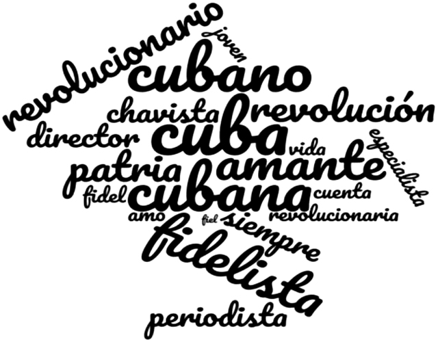 T&eacute;rminos m&aacute;s utilizados en discursos relacionados en las biograf&iacute;as de los usuarios