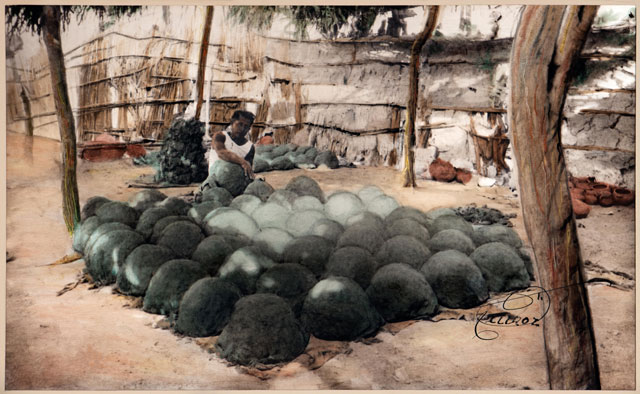 Foto&oacute;leo 13. Primer d&iacute;a de trabajo