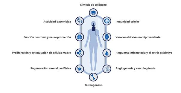 Efectos fisiolgicos principales generados con el tratamiento de oxigenacin hiperbrica.