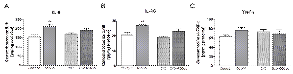 Perfil de citoquinas inflamatorias en aorta.