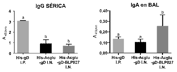 Inmunogenicidad de la vacuna experimental His-Acglu-gD-BLP027.