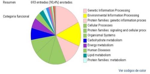 Categorizaci�n funcional mediante BlastKOALA