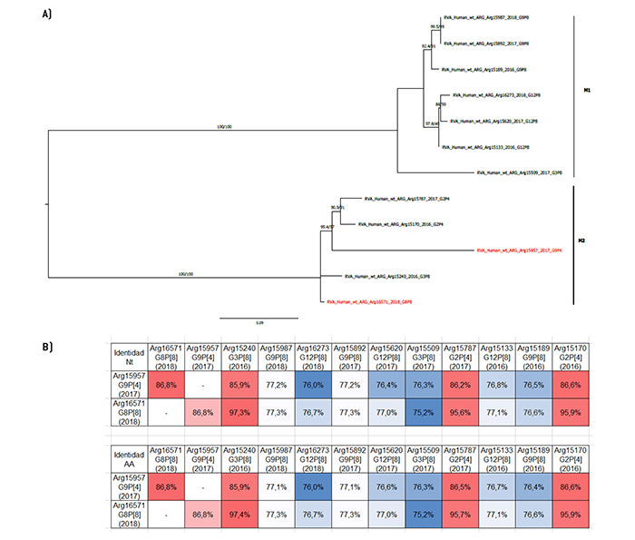 An�lisis filogen�tico y matriz de distancias del gen VP