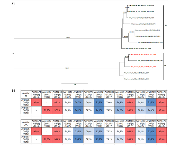 An�lisis filogen�tico y matriz de distancias del gen NSP1
