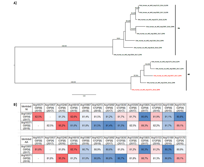 An�lisis filogen�tico y matriz de distancias del gen NSP4