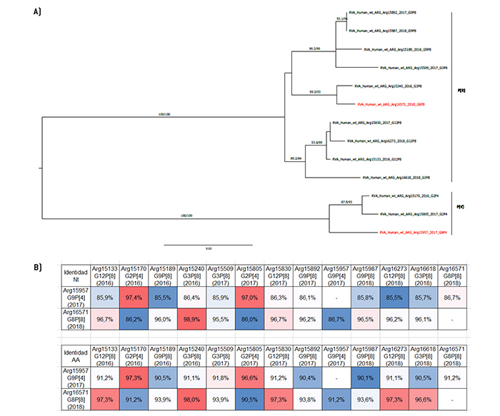 An�lisis filogen�tico y matriz de distancias del gen VP4.