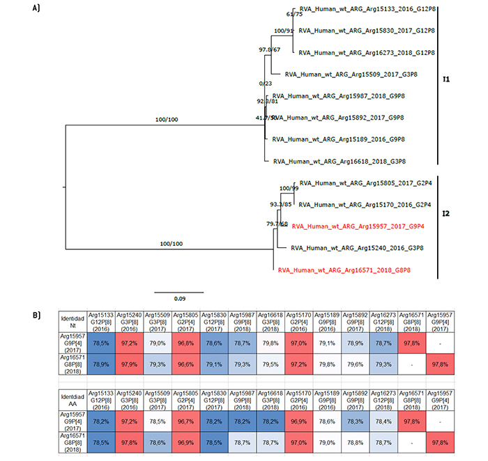 An�lisis filogen�tico y matriz de distancias del gen VP6