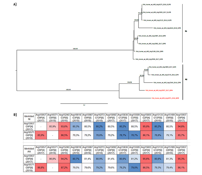 An�lisis filogen�tico y matriz de distancias del gen VP1
