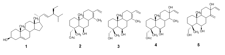 Estructuras de los terpenos aislados de hojas maduras de Myrupermum frutescens