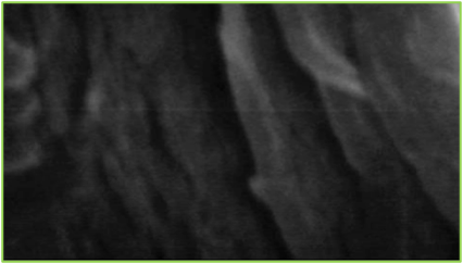 Microfotograf&iacute;a de una l&aacute;mina de quitosano sin ser entrecruzada