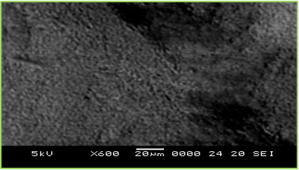 Microfotograf&iacute;a de una l&aacute;mina de quitosano entrecruzada con alcohol polivin&iacute;lico Tomada a 600x y 5kV