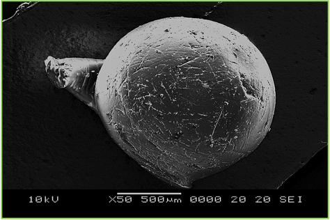 Microfotograf&iacute;a de las esferas de hidrogel EDGE-PVA Q tomada con el microscopio de barrido electr&oacute;nico (SEM) a 10kV