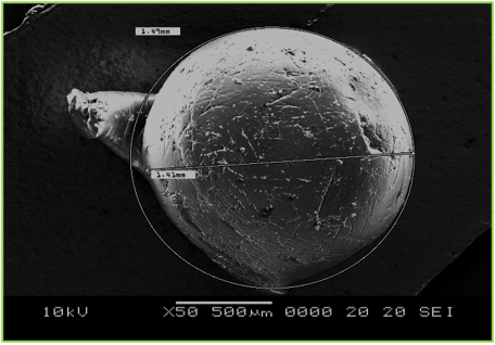 Microfotograf&iacute;a de las esferas de hidrogel EDGE-PVA-Q con mediciones de circunferencia y dimensiones de la muestra