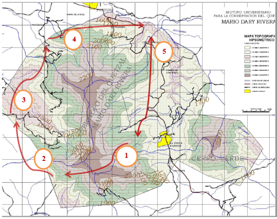 Mapa topográfico hipsométrico de los Bosques nubosos situados en Área Protegida ? Biotopo del Quetzal, Baja Verapaz, Guatemala. Las líneas rojas señalan los transectos.