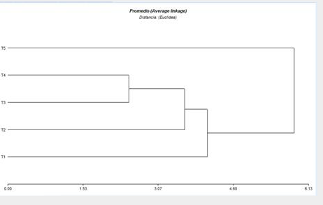 Análisis de similitudes de los registros de mariposas entre los transectos (T1?.T5) utilizados en el bosque nuboso de del Biotopo del Quetzal, Purulhá Baja Verapaz. Guatemala