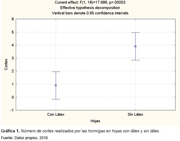 N&uacute;mero de cortes realizados por las hormigas en hojas con l&aacute;tex y sin l&aacute;tex