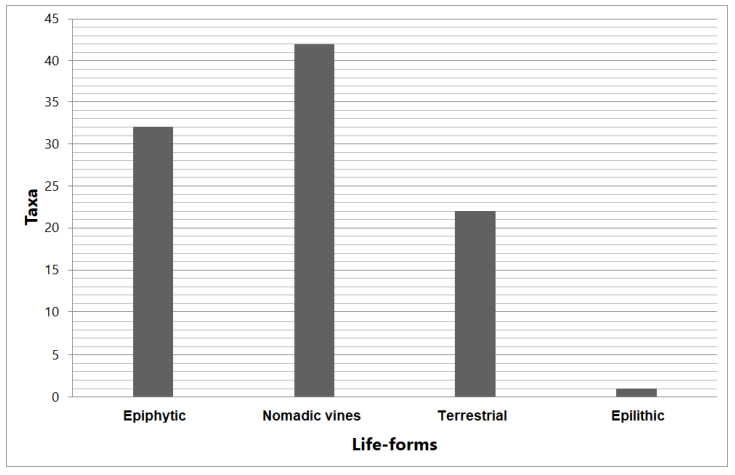 Life-forms of aroid species in the Cerro Pirre area.