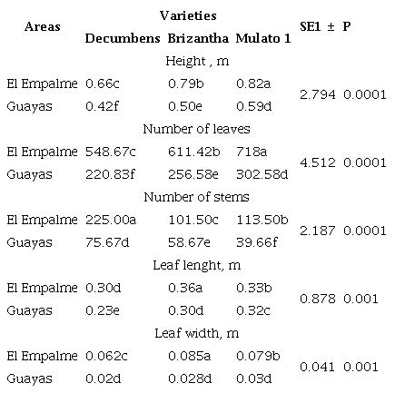 Morphological performance of three Brachiaria varieties in two areas of Ecuador