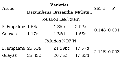Relation leaf/stem and NDF/N of three Brachiaria varieties in two areas of Ecuador