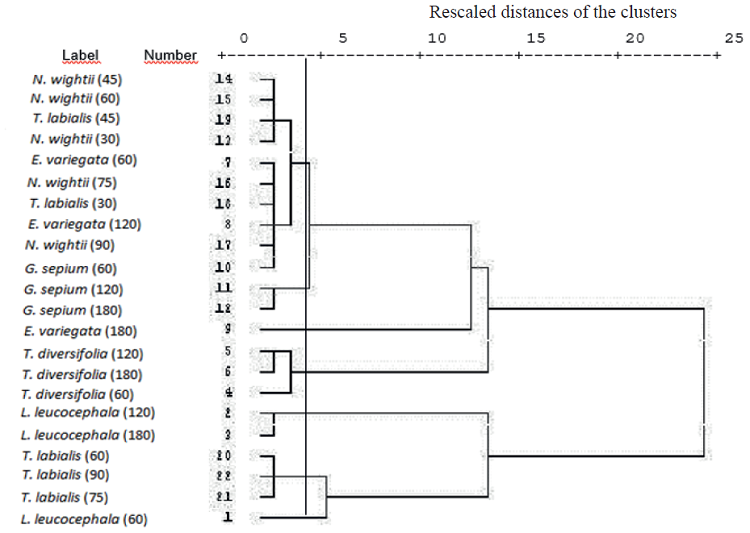 Dendrogram of the content of primary and secondary metabolites of trees, shrubs and herbaceous legumes during the rainy season