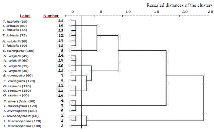 Dendrogram of the content of primary and secondary metabolites of trees, shrubs and legumes during the dry season