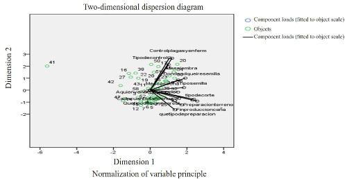Analysis of dimension reduction