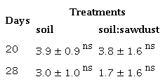 Aerial biomass / root biomass proportion of M. oleifera under nursery conditions, at 20 and 28 days