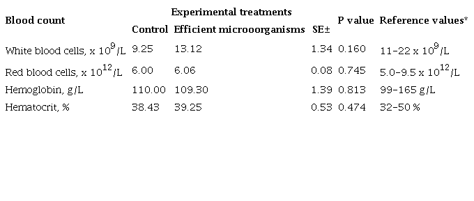 Effect of oral supply of efficient microorganisms (GERMEVIT) on the blood count of suckling pigs