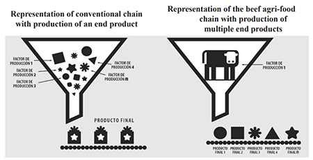 Schematic representation of the particularity of the beef chain in respect to more conventional productive chains (relationship between production factors and amount of end products obtained)