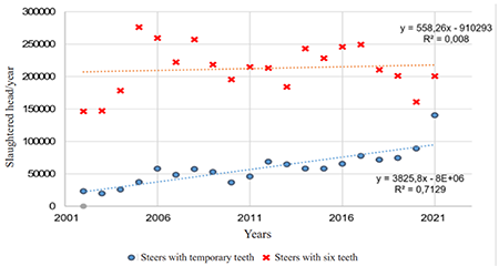 Progress in slaughtered cattle number in Uruguay at two ages of young cattle in the 2001-2021 period (Source: INAC 2022c)