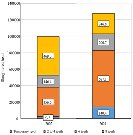 Classification of steers according to slaughtering age, years 2002 and 2021 (Source: Elaborated according to the web page of the Instituto Nacional de Carnes of Uruguay, INAC 2022c) 