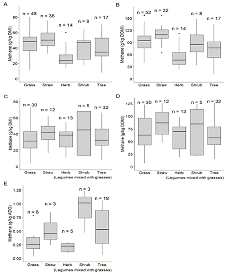Boxplots of the comparison in methane emissions (g/kg DMI, g/kg DOMI) between diets were small ruminants were fed solely on forages (grasses, stover/straw or legumes forages (Herb, Shrub, Tree)) (A, B); and where small ruminants were supplemented with concentrate to basal diets of grasses, straw/stover or legumes (Herb, Shrub, Tree) mixed with grasses (g/kg DMI, g/kg DOMI, g/kg ADG) (C, D, E).