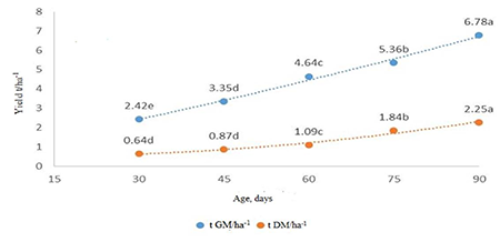 Yield of Cenchrus purpureus (Schumach.) Morrone cv. Cuba CT-115