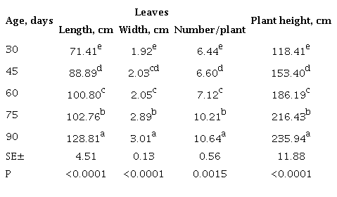 Morphological characterization of leaves of Cenchrus purpureus (Schumach.) Morrone cv. Cuba CT-115