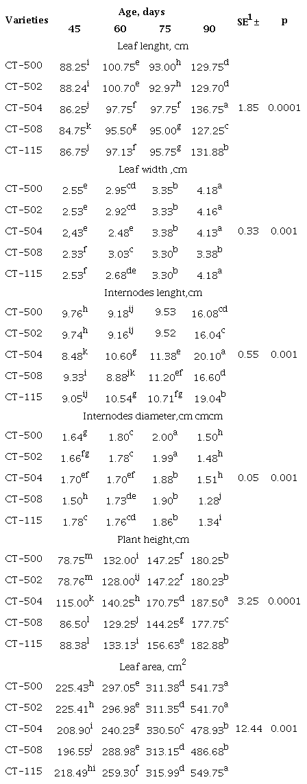 Performance of morphological indicators in the rainy season