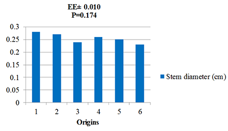 Stem diameter of the plantlets (cm) at 40 d after sowing