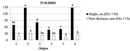 Performance of the height and stem thickness in six Moringa oleifera origins under field conditions at 120 d after the transplant