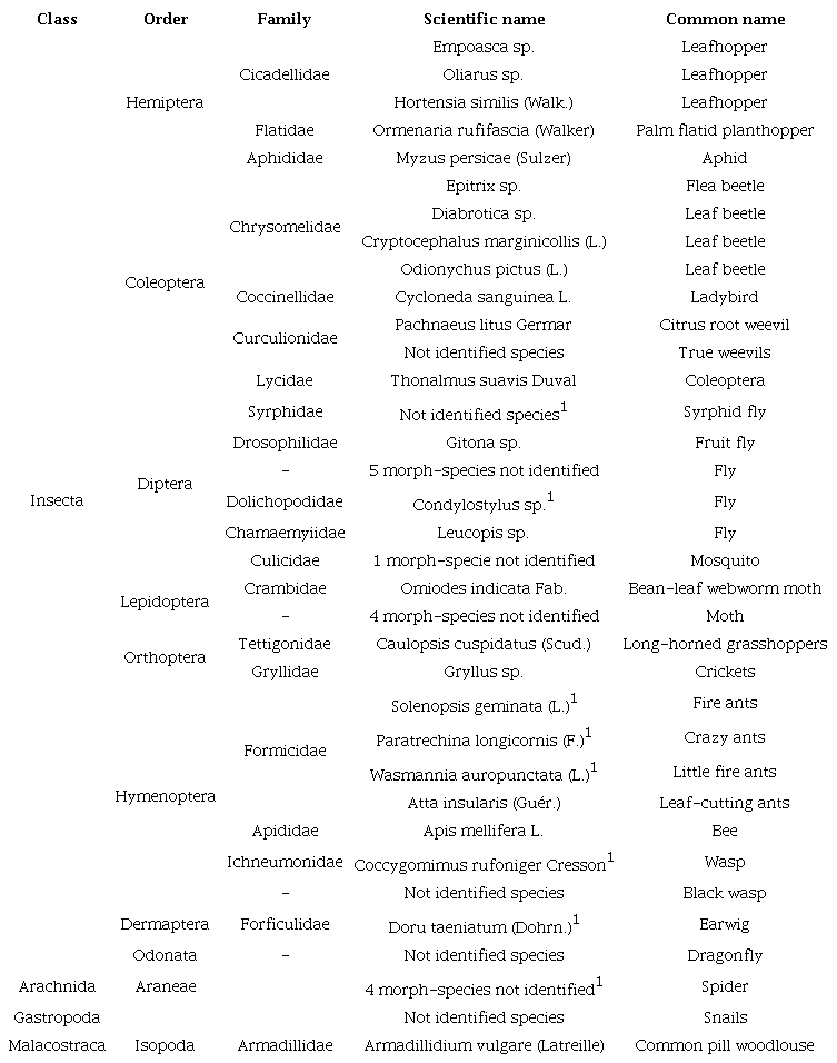 Atrophodsfauna associtated to the six Moringa oleifera origins under field conditions during the experimental period